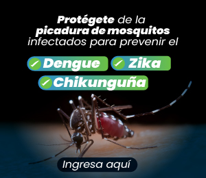 Enfermedades transmitidas por vectores