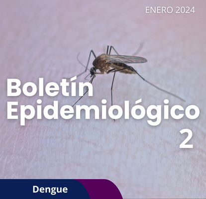 Dengue boletin